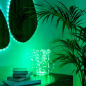 Twinkly Dots Nutikad LED 200 RGB, 10m, Must juhe, Mitmevärviline