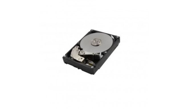 Toshiba HDD||10TB|SATA 3.0|256 MB|7200 rpm|3,5"|MG06ACA10TE