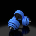 HMS SGG30 BAR 2-in-1 weight set (barbell and barbells) 30 kg