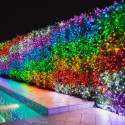 TWINKLY Strings 250 Special Edition (TWS250SPP-BEU) Smart Christmas tree lights 250 LED RGB+W 20 m