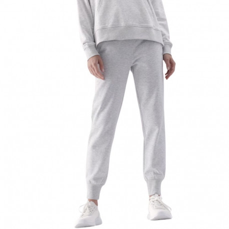 4F naiste püksid F0946 4FWMM00TTROF0946 27M L, jahe helehall melanž