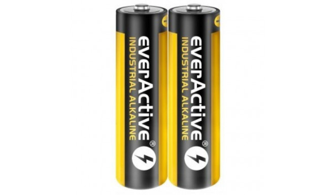 Alkaline Batteries - Everactive Lr6 Aa, White