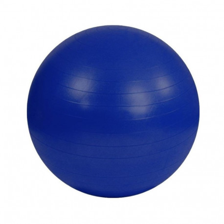 Anti-Burst Gym Ball S825760 (55 cm)