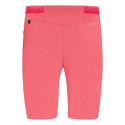 Salewa Pedroc Cargo 3 DST Shorts W 27728-6200 (m)