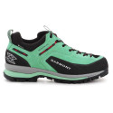 Trekking shoes Dragontail Tech GTX WMS W 002474 (EU 39)