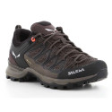 Salewa Mtn Trainer Lite GTX W 61362-7517 trekking shoes (EU 40)