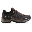 Salewa Mtn Trainer Lite GTX W 61362-7517 trekking shoes (EU 38)