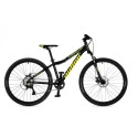 Author A-Matrix bicycle, 26'', Phantom Black matte/Black matte