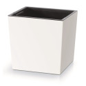 Urbi Square Low Lillepott - valge