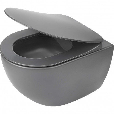 Rimless wall-hung toilet