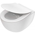 Rimless wall-hung toilet