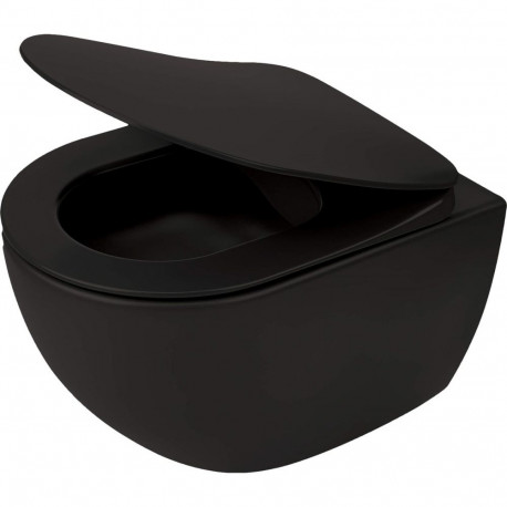 Rimless wall-hung toilet