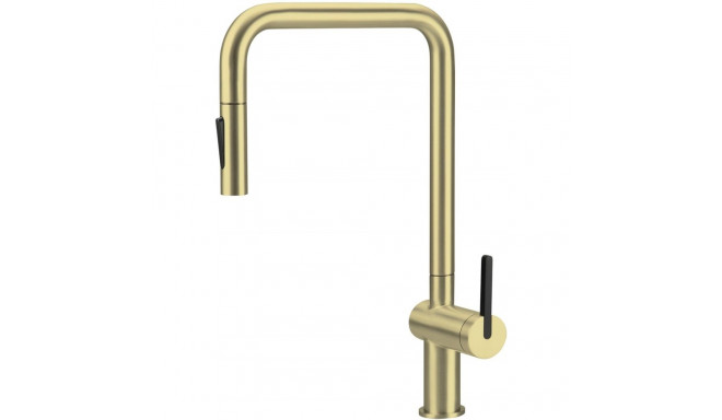 Kitchen faucet with pull-out spout