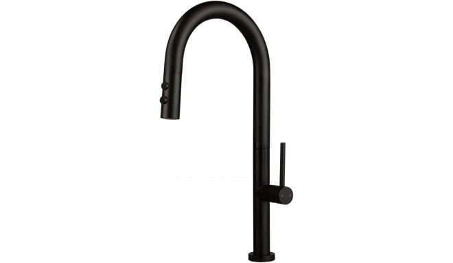 Kitchen faucet with pull-out spout - 2 types of spray