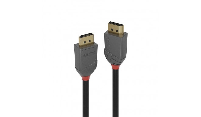 Lindy 10m DisplayPort 1.2 Cable, Anthra Line