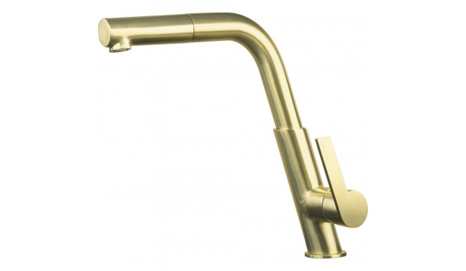 Kitchen faucet with pull-out spout