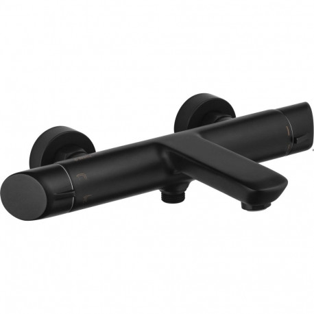 Seinapealne vannisegisti