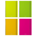 Wirebound notebook ErichKrause, Accent, assorted, А4, 80 sheets, squared, plastic cover, elastic clo