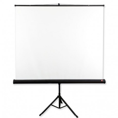 Home Theater Screen - Avtek Tripod Standard 200