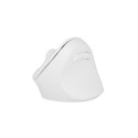 VERTICAL MOUSE NATEC CRAKE 2 WIRELESS 2400DPI BLUETOOTH 5.2 + 2.4GHZ WHITE