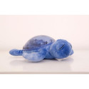 Cloud B Tranquil Turtle baby night-light Freestanding Blue