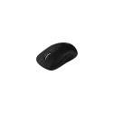 Logitech Pro X superlight wireless Gaming Mouse black (910-005880)