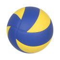 Volleyball ball NV 300 S863686 (5)