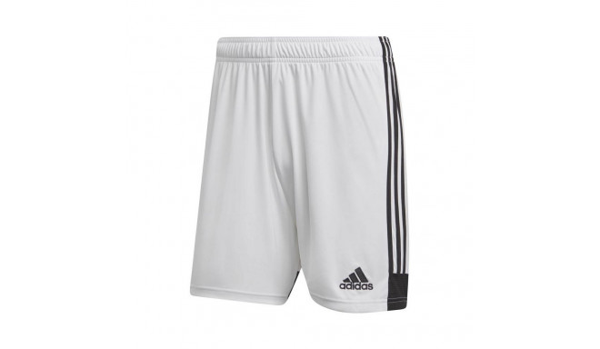 Adidas Tastigo 19 Shorts M DP3247 shorts (S)