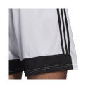 Adidas Tastigo 19 Shorts M DP3247 shorts (L)