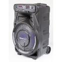 Party Audio loudspeaker Manta SPK5033