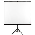 Avtek Tripod Standard 200 projection screen 1:1