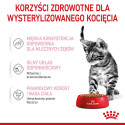 Royal Canin Sterilised kastmes 12x85g