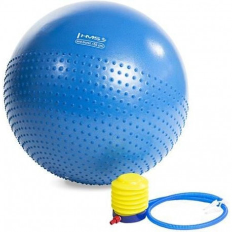 HMS YB03 55cm tumesinine treeningpall