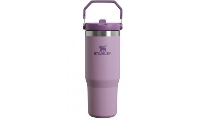 Stanley termospudel joogikõrrega The IceFlow Flip Straw Tumbler 0,89L õhuline lilla 2809993312