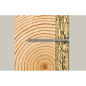 Fischer kruvikeerajad FPF II CTF 6.0x70 100 tk.