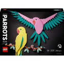 CONS. THE FAUNA COLLECTION–MACAW PARROTS