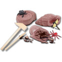 SES Craft set Excavate fossils