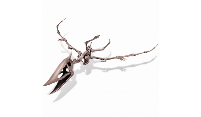 4M meisterdamiskomplekt "kaeva välja pteranodoni skelett"