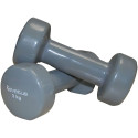 Dumbbells vinyl SVELTUS Epoxy 1183 2x3 kg Grey