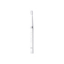 Panasonic | Toothbrush | EW-DM81 | Rechargeable | For adults | Number of brush heads included 2 | Nu