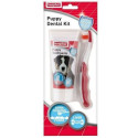 Oral Care Set - Beaphar Toothpaste + Toothbrush for Dogs 50 g