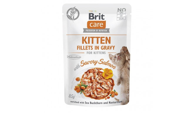 Wet Cat Food - Brit Care 85g, Silver