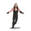 TCG Tegevusfiguur Flexfigs WWE Legendid