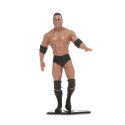TCG Tegevusfiguur Flexfigs WWE Legendid