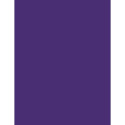 Sally Hansen Xtreme Wear (11ml) (503 Purple Craze)