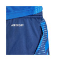 Adidas Tiro 24 Competition Training M IR5485 shorts (XS)