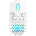 "Cherry Mouse Xtrfy M42 RGB Gaming white"