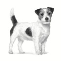 Royal Canin VHN Anallergenic Väikestele Koertele - kuivtoit täiskasvanud koertele - 1,5 kg