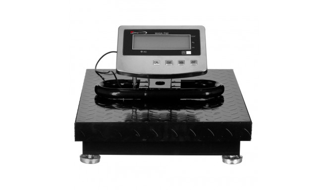 Platform Scale - Wt-053 300kg Digital Scale