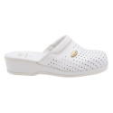 Shoe - Scholl Clog Backguard, White